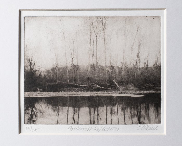 Bitterroot Reflections