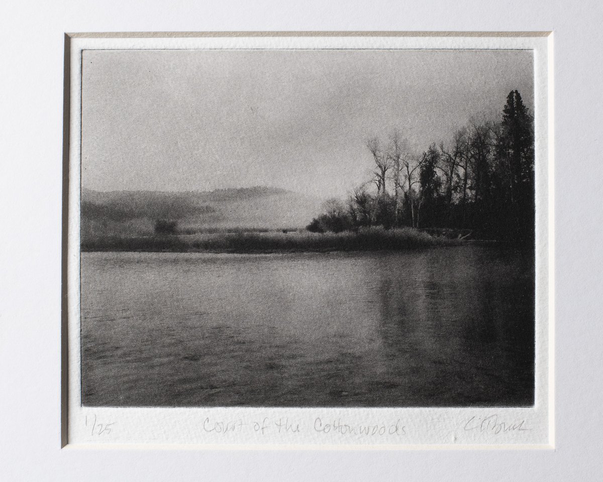 Court of the Cottonwoods