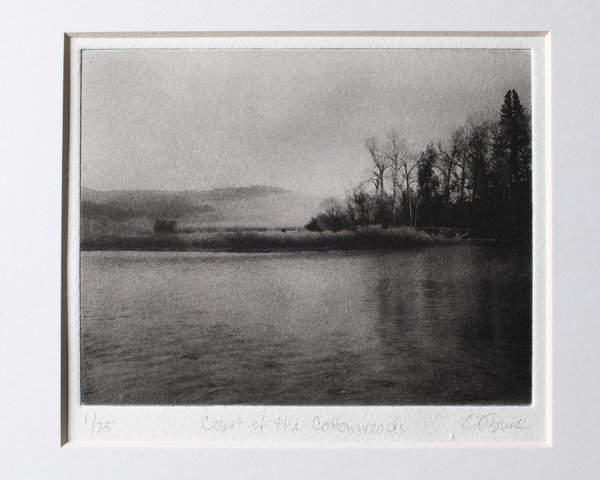 Court of the Cottonwoods