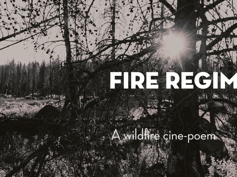 Fire Regime: A Wildfire Cine-Poem