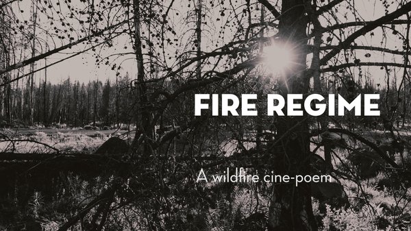 Fire Regime: A Wildfire Cine-Poem