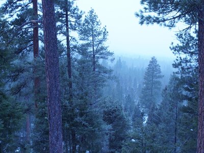 Gary Ferguson on Wildfire, Climate Change, and Land on Fire