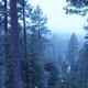 Gary Ferguson on Wildfire, Climate Change, and Land on Fire