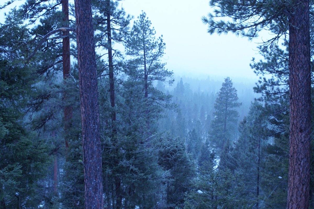 Gary Ferguson on Wildfire, Climate Change, and Land on Fire