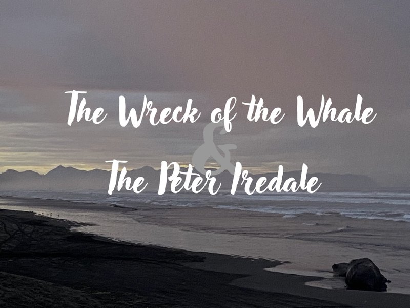 The Wreck of the Whale & The Peter Iredale
