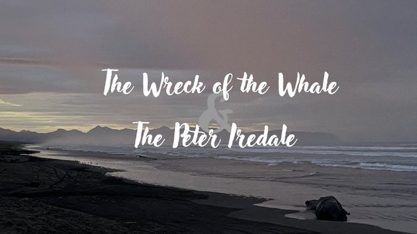 The Wreck of the Whale & The Peter Iredale